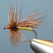 Peacock Hairwing Caddis